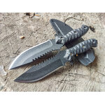 กระต่ายป่า