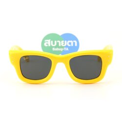 RayBan Wayfarer Puffer RB4940 683087