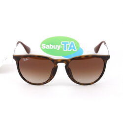 RayBan Erika RB4171F 865/13