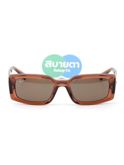 RayBan KILIANE RB4395F 667873