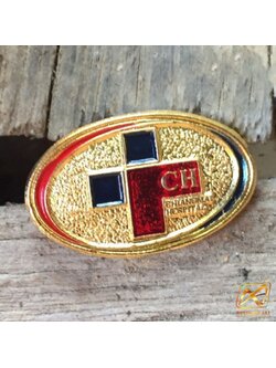 เข็มกลัดกัดกรด