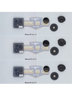 ชุดเฟือง รุ่นเฟืองแบรริ่ง (Gear Set Integrated Bearings) มี3รุ่นให้เลือก #รุ่น 13:1 #รุ่น 16:1 #รุ่น 18:1