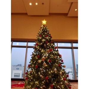 ให้เช่าของตกแต่งเทศกาลคริสต์มาส