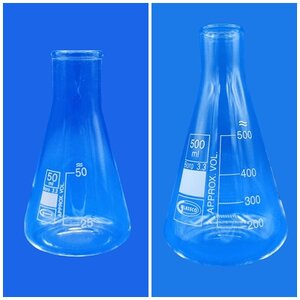 ขวดรูปชมพู่ (Erlenmeyer Flasks)