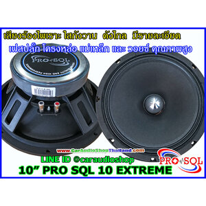 ลำโพงเสียงกลาง 10 นิ้ว