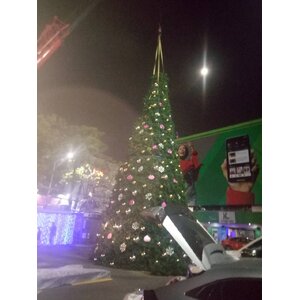 ติดตั้งต้นคริสต์มาส/ประดับไฟพื้นที่