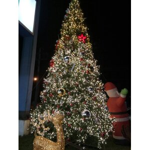 ต้นคริสต์มาสตกแต่ง