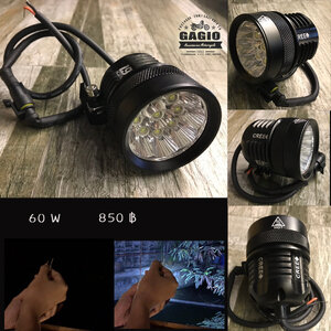 สปอร์ทไลท์