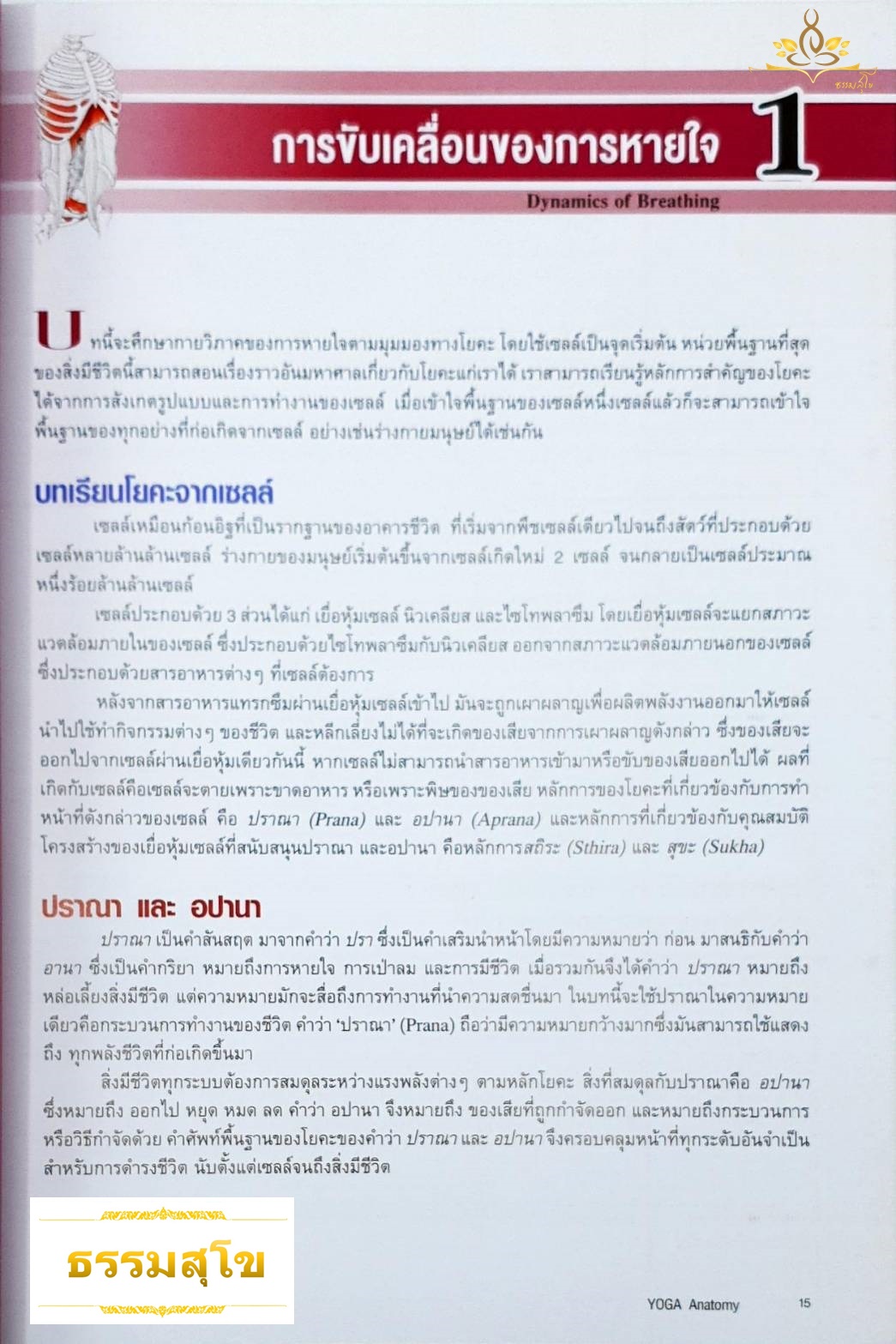 กายวิภาคโยคะ Yoga Anatomy : คู่มือแสดงโครงสร้างกล้ามเนื้อ หลักการเคลื่อนไหว และเทคนิคการหายใจ