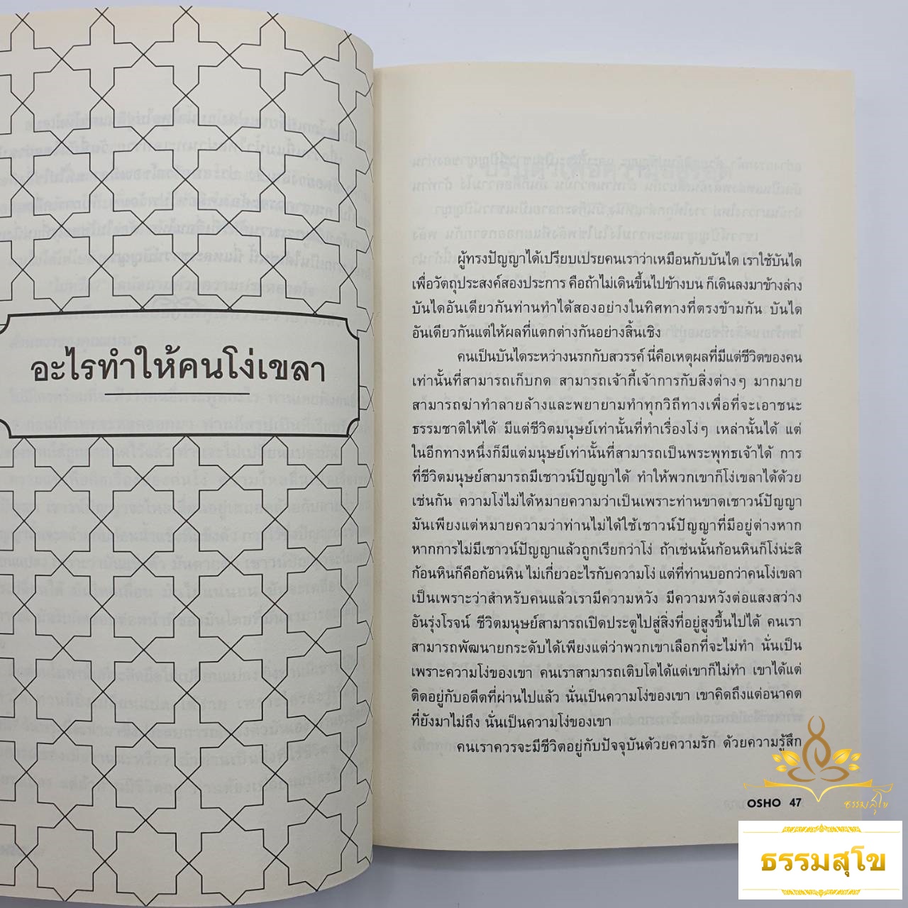 เชาวน์ปัญญา : Intelligence (การตอบสนองอย่างสร้างสรรค์ กับปัจจุบันขณะ)
