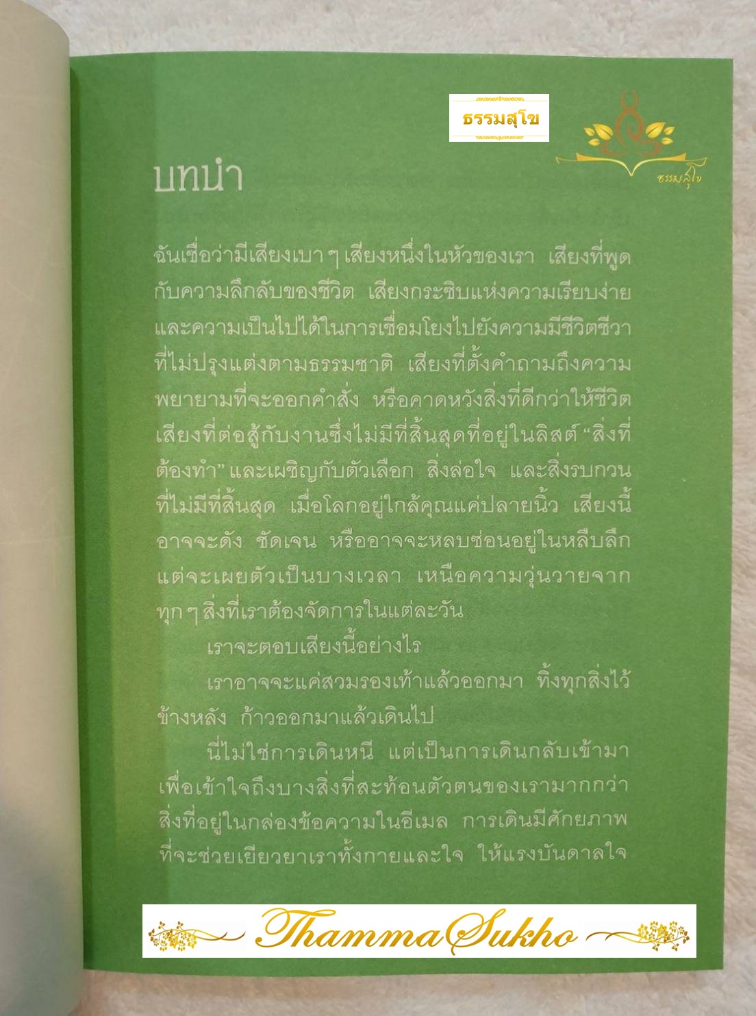 เดินสมาธิ (ผู้เขียน : ชอลโต แรดฟอร์ด , ผู้แปล : ญาณพล มุสิเกตุ)