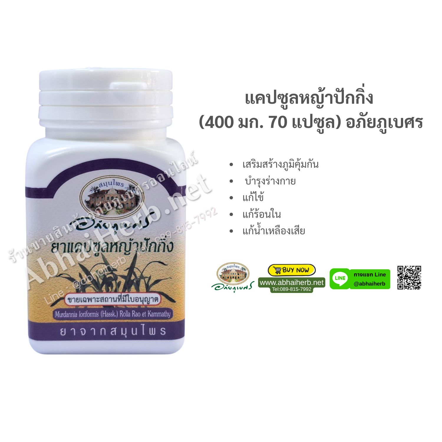 (ลด 10%) แคปซูลหญ้าปักกิ่ง (400 มก. 70 แคปซูล) อภัยภูเบศร