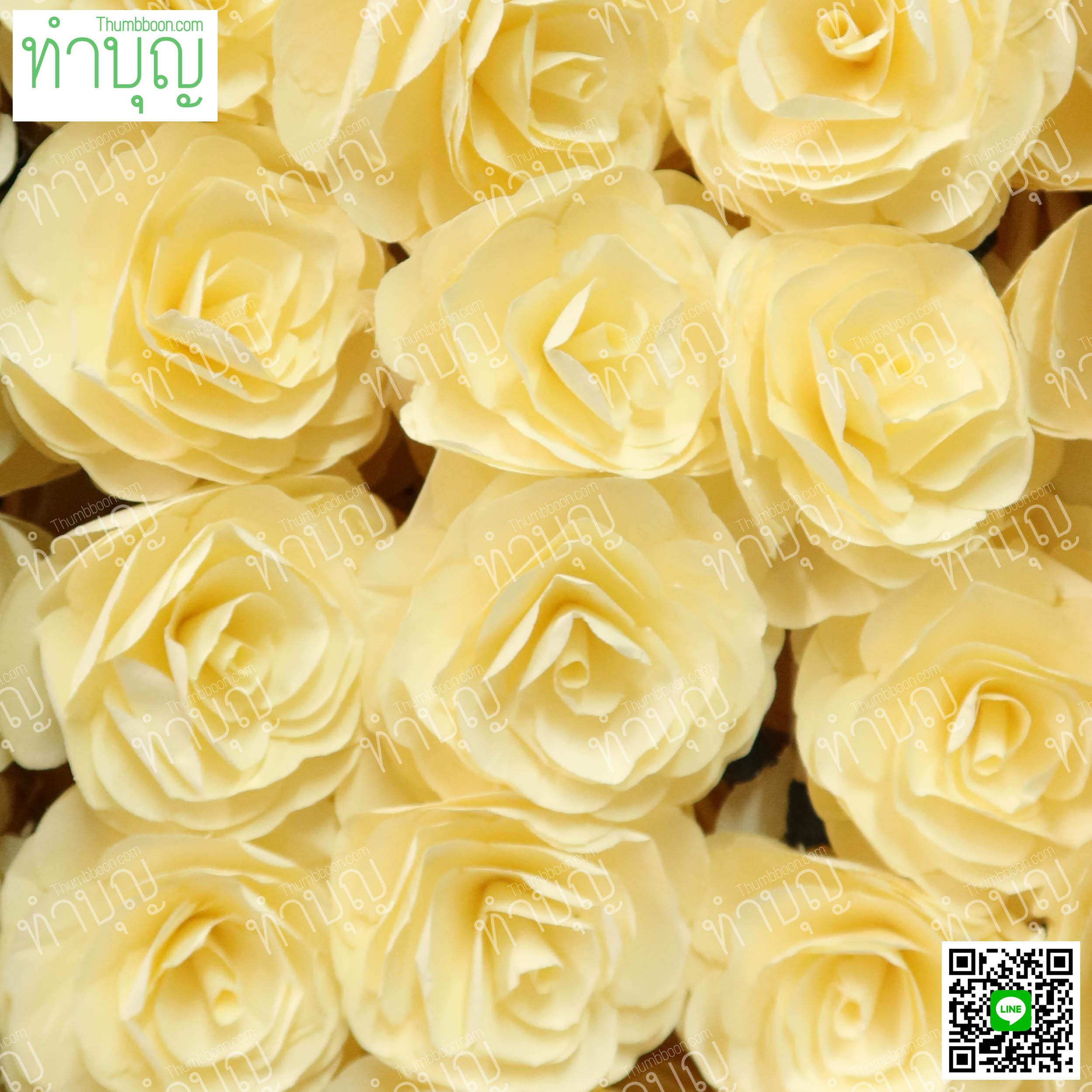 ดอกไม้จันทน์ ดอกเดี่ยว งานสวย สีขาว/เหลือง (ห่อละ 100 ดอก)