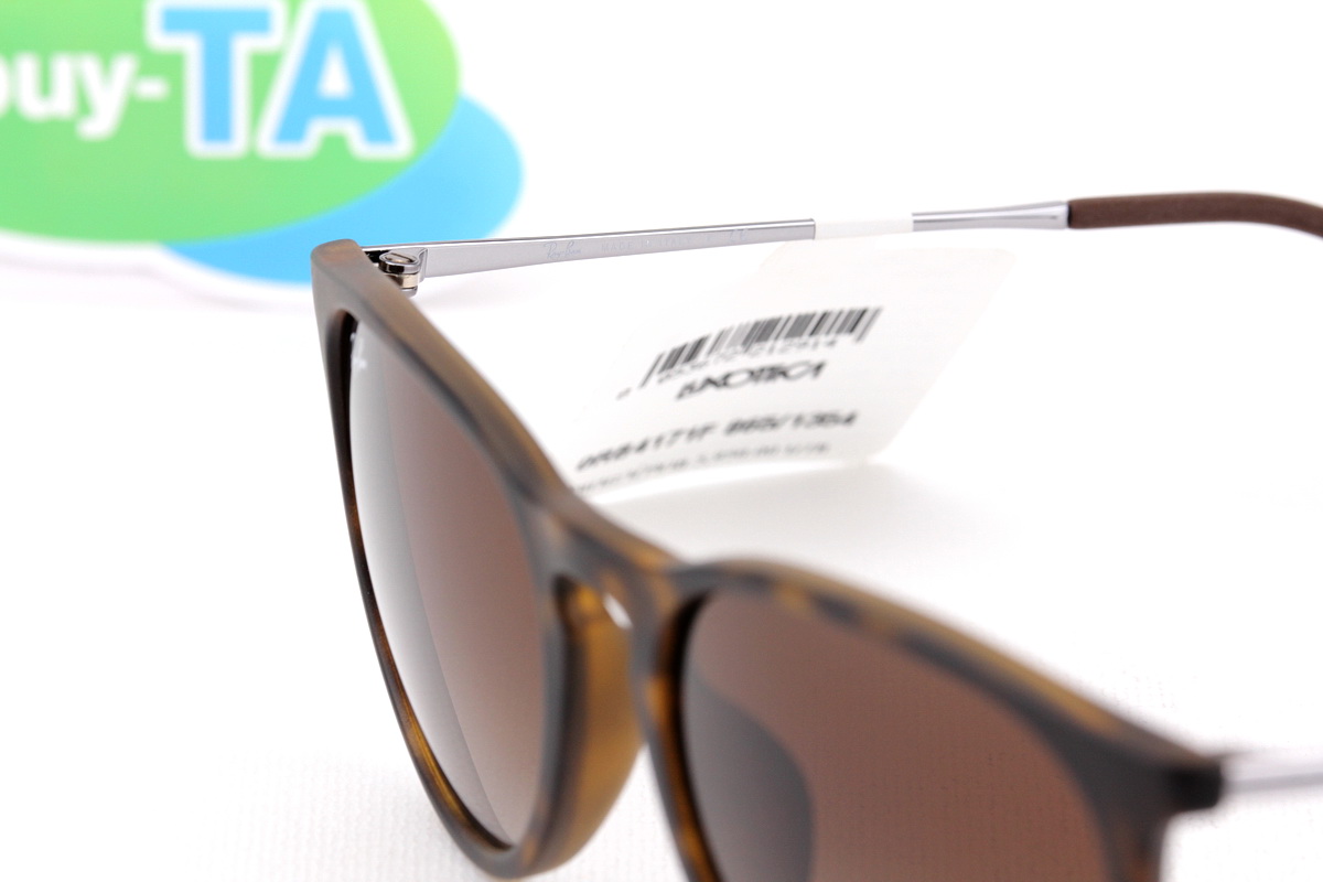 RayBan Erika RB4171F 865/13