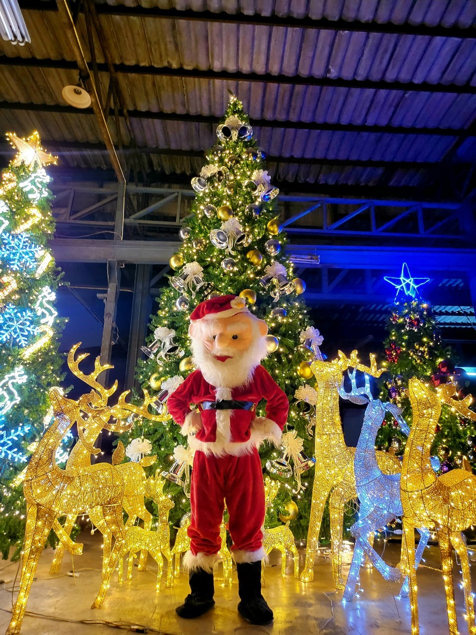 ตุ๊กตาคริสต์มาสที่เราคัดสรรมาให้รับชม ในรูปแบบต่างๆ สินค้าตกแต่งงานเลี้ยงวันคริสต์มาสที่ได้รับความนิยม