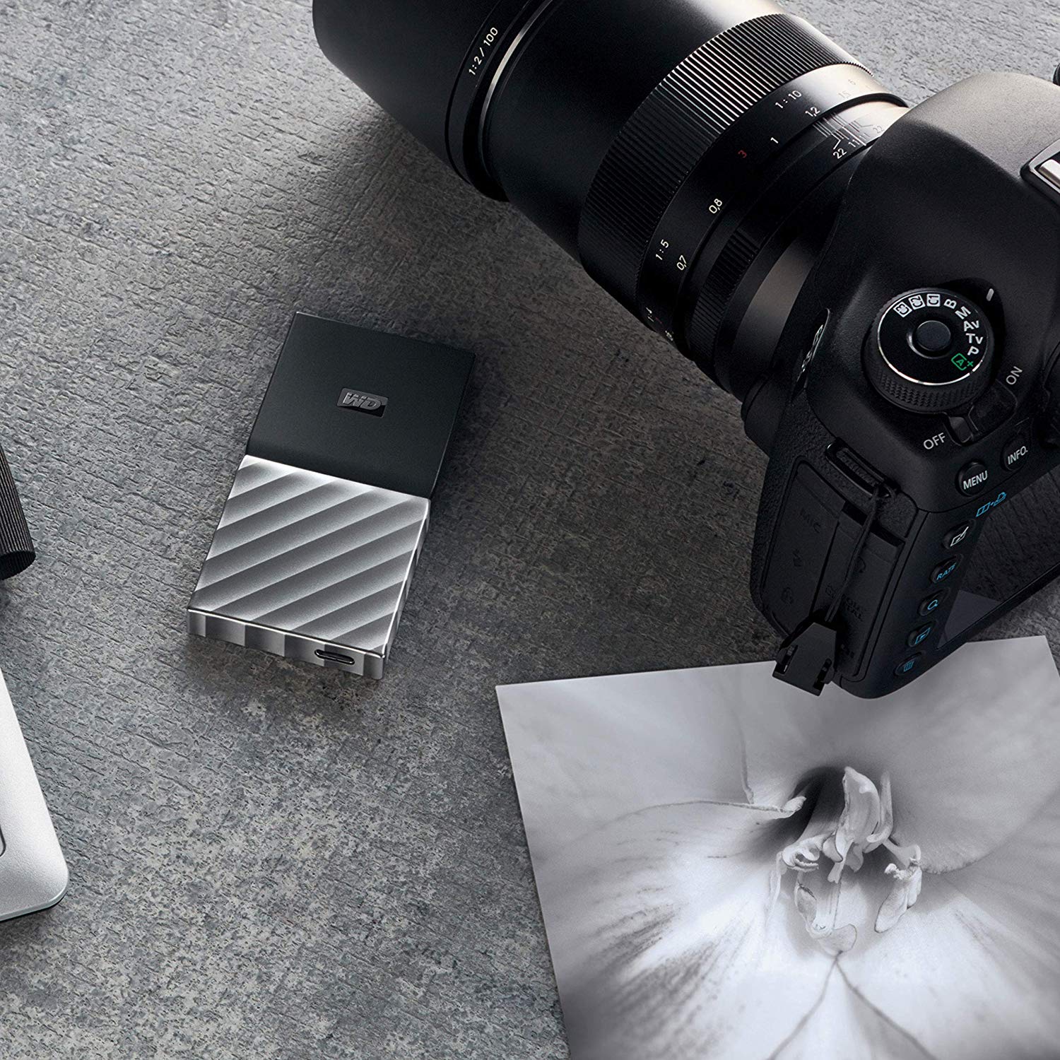 WD 1TB MY PASSPORT SSD Portable Storage - USB 3.1 (Type-C) - Black-Gray - WDBKVX0010PSL