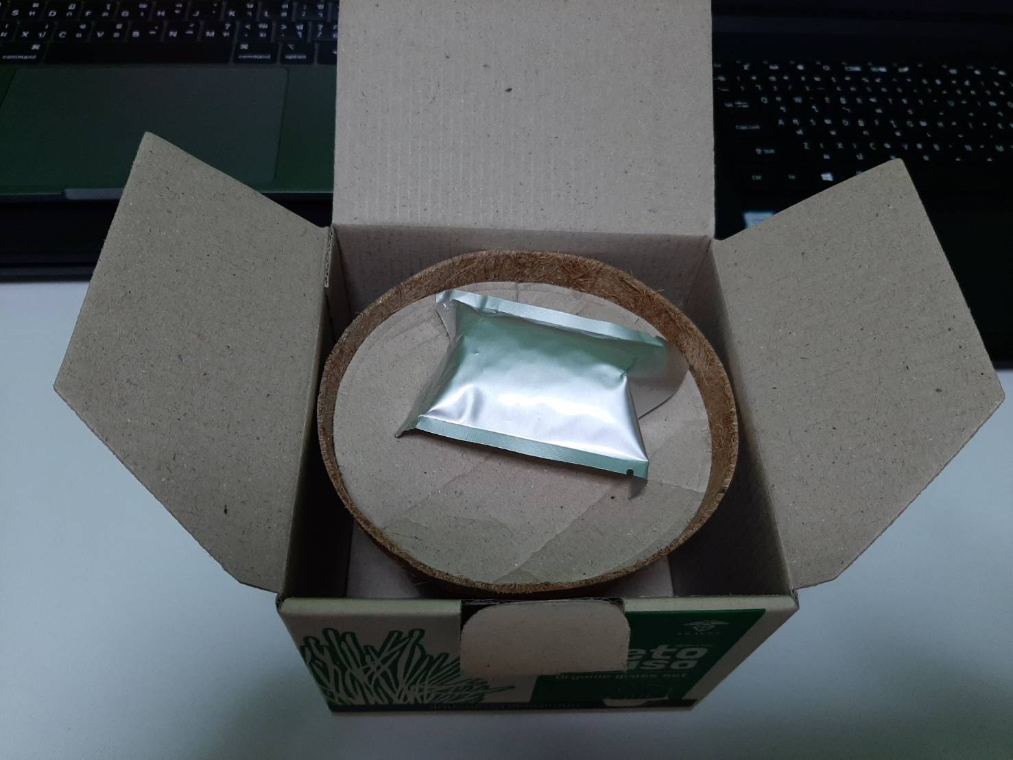 ชุดปลูกข้าวสาลีสำเร็จรูป ตั้งโชว์สวย ปลูกง่าย พร้อมปลูก