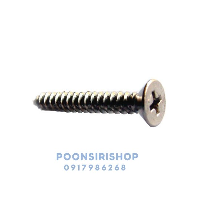 FASTENIC สกรูเกลียวเหล็กหัวเรียบ FH #14x1.1/4" (500ตัว/กล่อง)