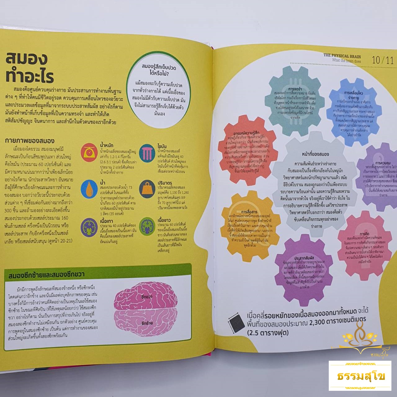 สมองทำงานอย่างไร : อธิบายด้วยภาพให้เข้าใจ (ปกแข็ง)