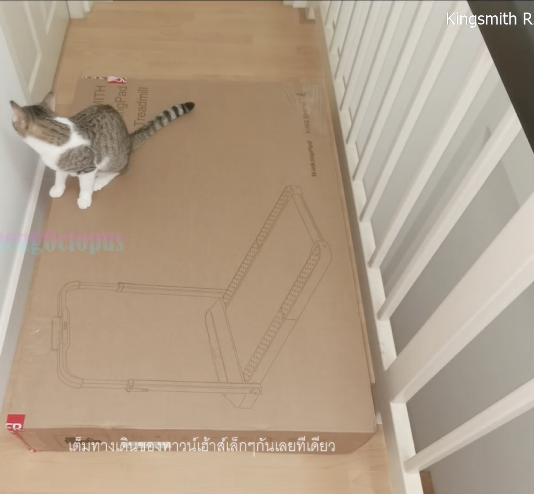 ลู่วิ่งไฟฟ้า ลู่วิ่งสายพาน ลู่วิ่งออกกำลังกาย ลู่วิ่งดีไซน์สุดล้ำ วัสดุ สุด พรีเมี่ยม R.2