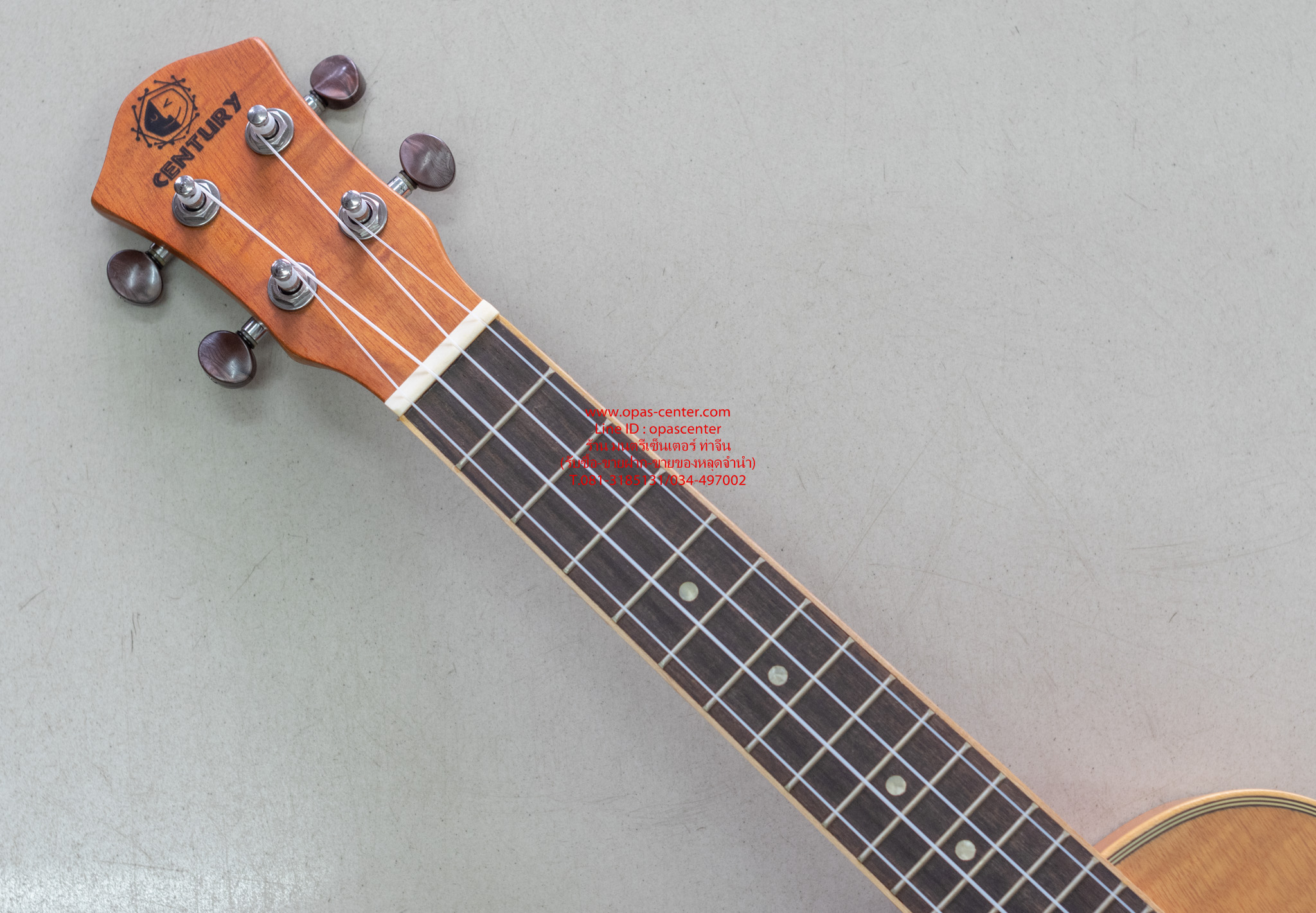 อคูเลเล่ UKULELE ยี่ห้อ Century ของใหม่ ขนาด Concert รุ่น S-248 สีไม้ด้าน สวย เสียงดี ขายถูก