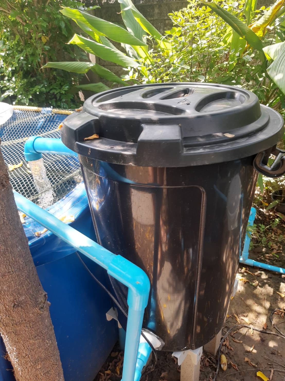 DIY กรองบ่อปลาทำเอง