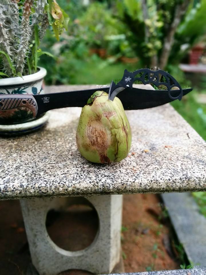 สปาตั้น