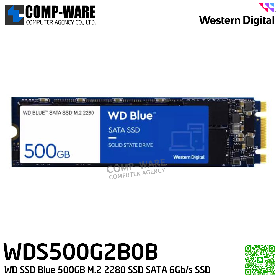WD SSD Blue 500GB M.2 2280 SSD SATA 6Gb/s Solid State Drive - WDS500G2B0B - 5Y Warranty