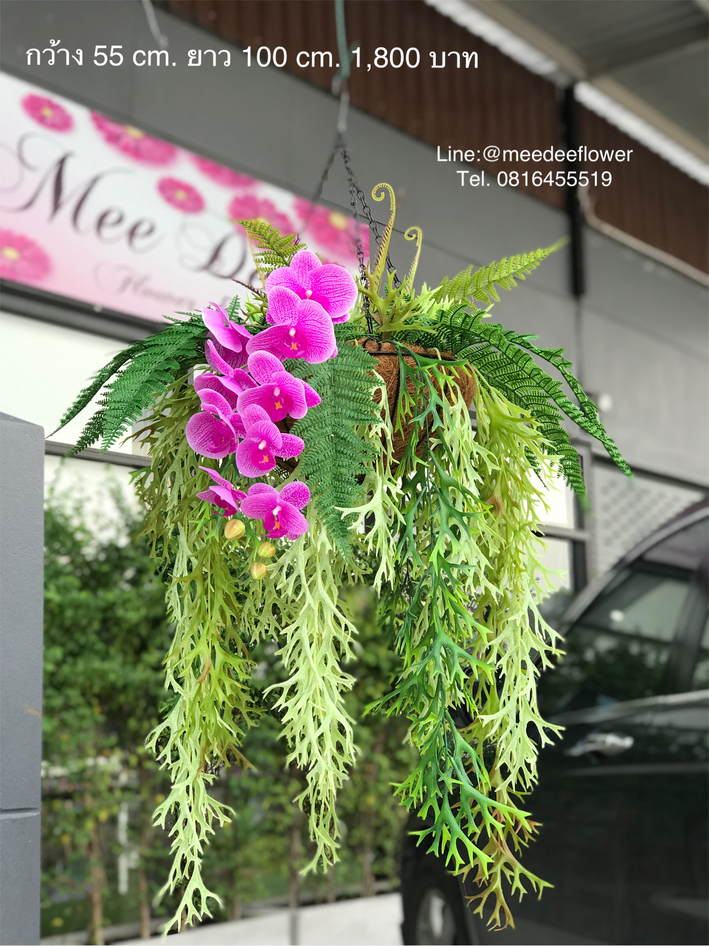 กระเช้าเฟิร์น กระเช้าเฟิร์นปลอม จัดเหมือนจริง ความกว้าง 55 cm. ยาว 100 cm.