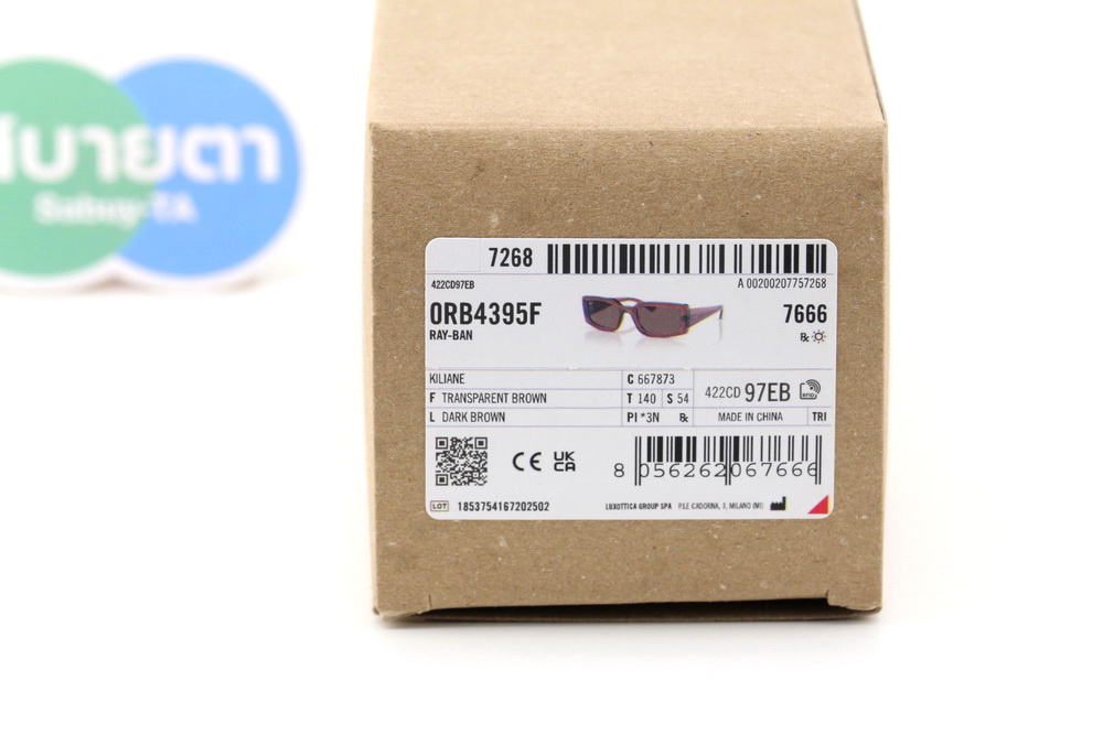 RayBan KILIANE RB4395F 667873