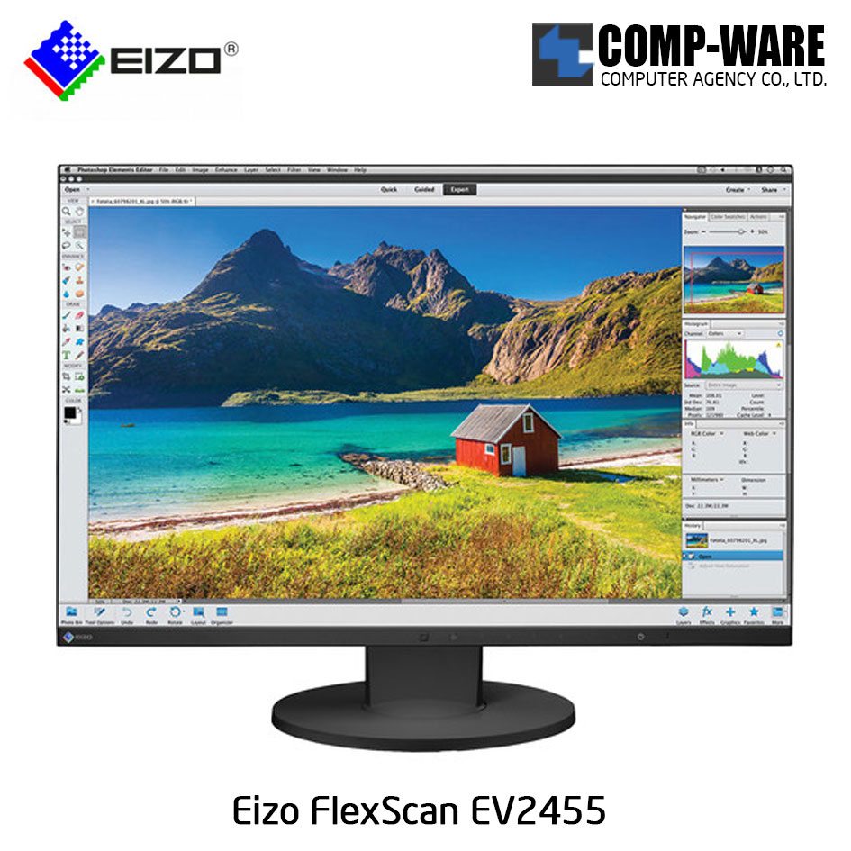 Eizo FlexScan EV2455 24.1" Full HD IPS LED Professional Monitor - Black