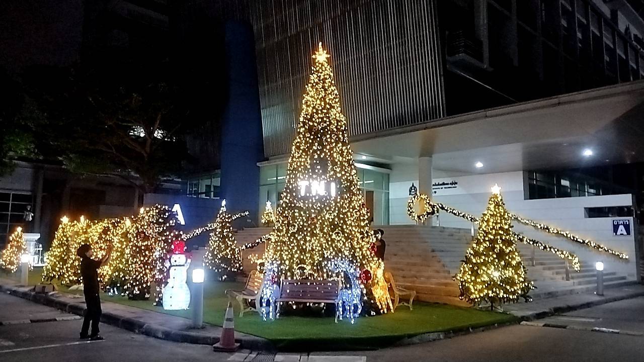 ต้นคริสต์มาสยอดนิยม ให้เช่าคริสต์มาสปลอม