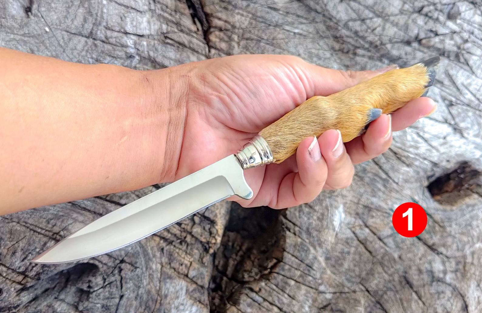 🔥มีดด้ามขาสัตว์แท้ จากนอร์เวย์🔥 มีดใบตาย ที่เป็นของสะสมส่วนตัว ที่นำมาจากประเทศนอร์เวย์ อายุ 10 ปีได้ ด้ามจับทำจากขาสัตว์แท้ใบมีดสแตนเลส 440 สัมผัสการจับรายละเอียดของขนเข้าถึงธรรมชาติได้อย่างดี มาพร้อมซองหนังแท้ ตีแบนจากค่ายโดยตรง