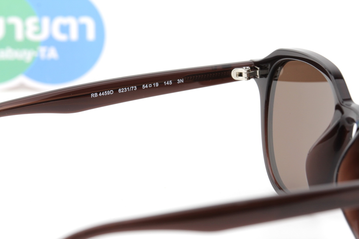 RayBan RB4459D 623173