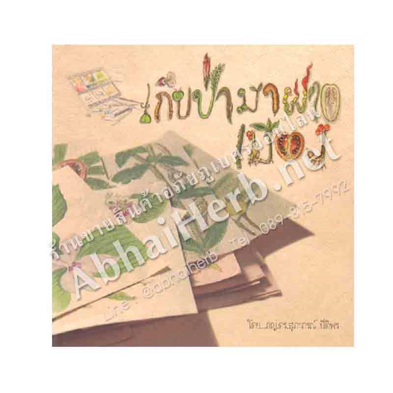 หนังสือ เก็บป่ามาฝากเมือง (สินค้า Pre-order จัดส่งภายใน 7-10วัน)