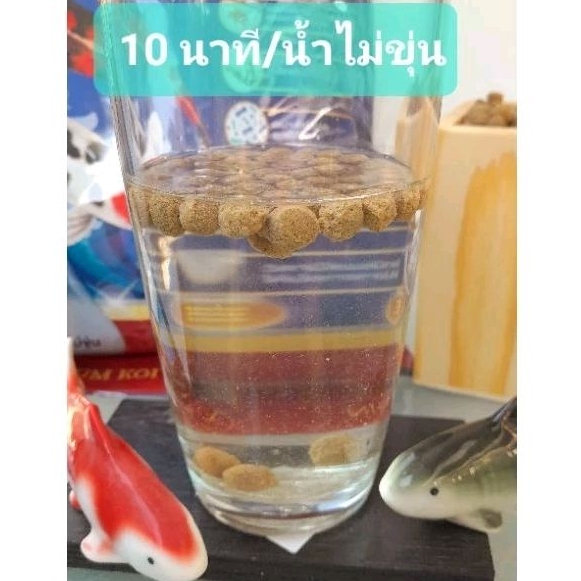 อาหารปลาคาร์ฟ poomcarpfish น้ำไม่ขุ่น
