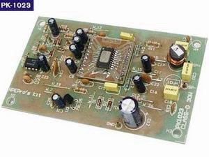 NPE Kit Power Amp Class-D30w PK-1023 ลงปริ้นท์