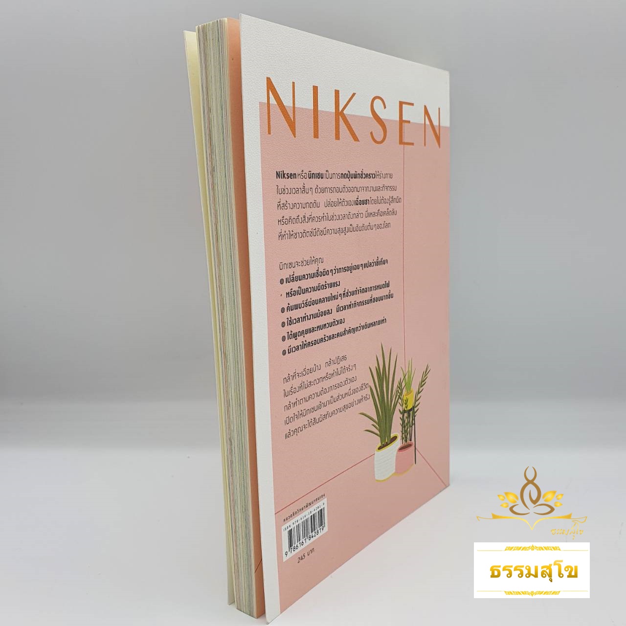 Niksen ศิลปะของการไม่ทำอะไรเลย