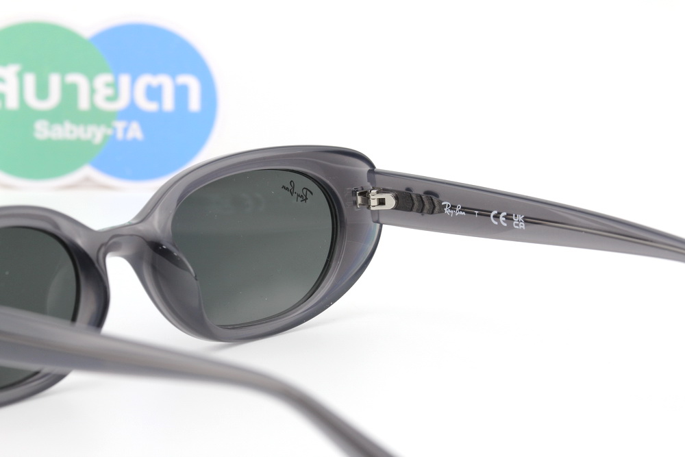 RayBan RB4441D 677787