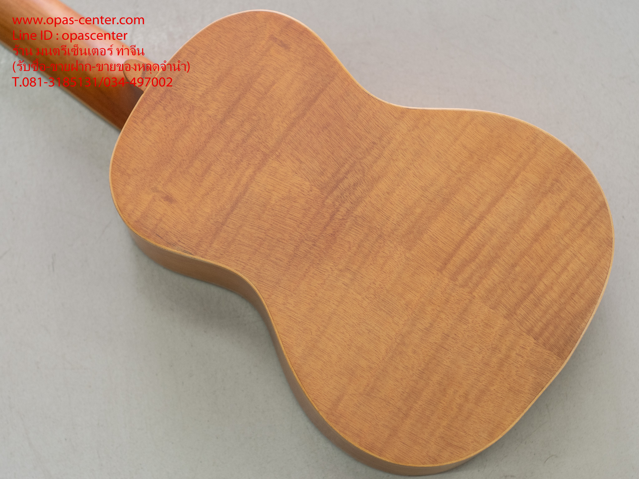 อคูเลเล่ UKULELE ยี่ห้อ Century ของใหม่ ขนาด Concert รุ่น S-248 สีไม้ด้าน สวย เสียงดี ขายถูก