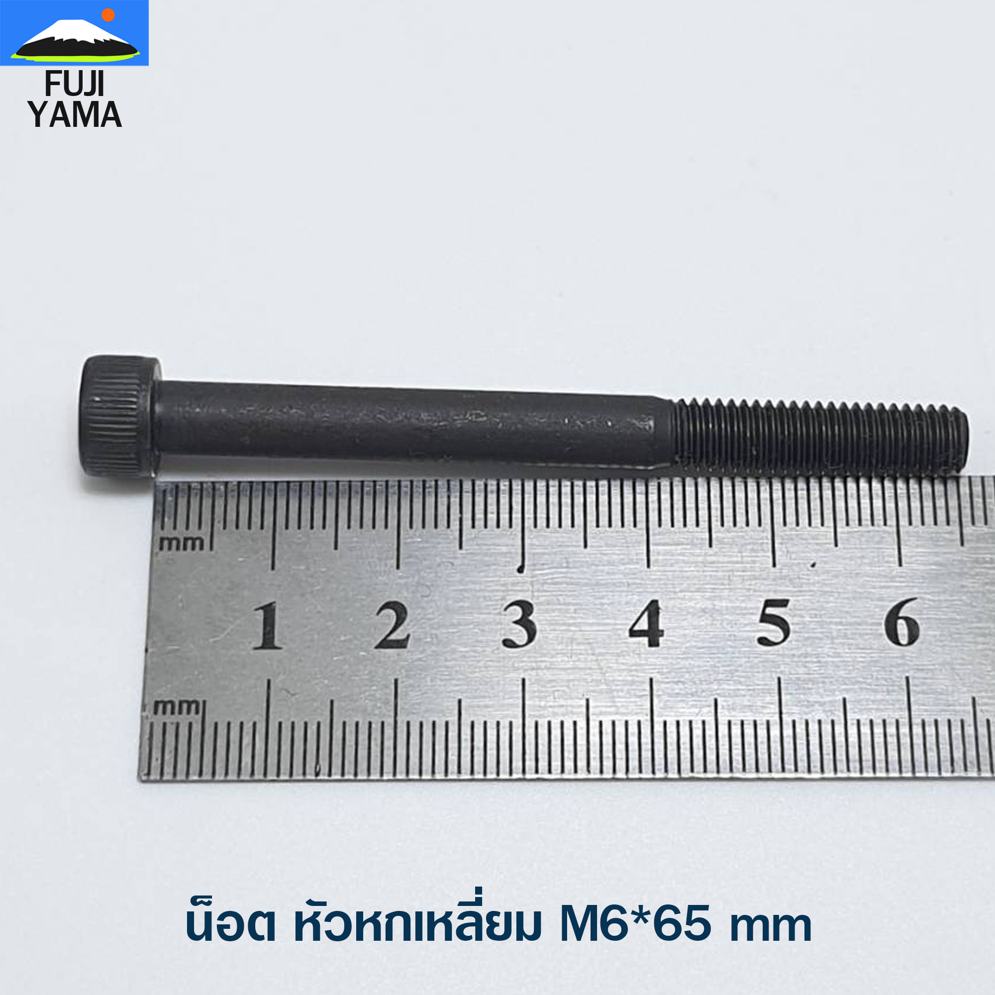 น็อต หัวหกเหลี่ยม M6*65 mm