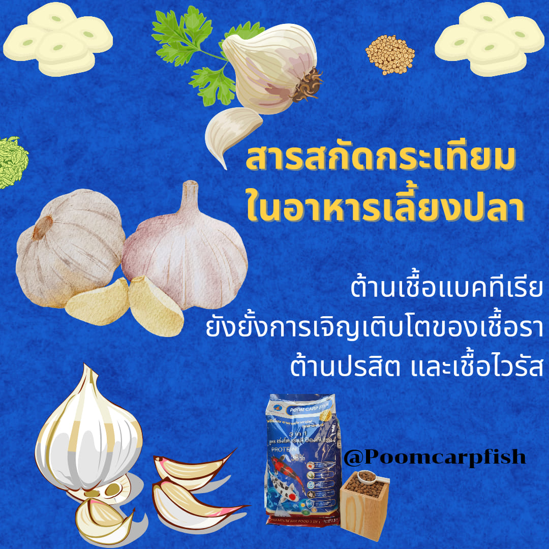 อาหารปลาคาร์ฟ