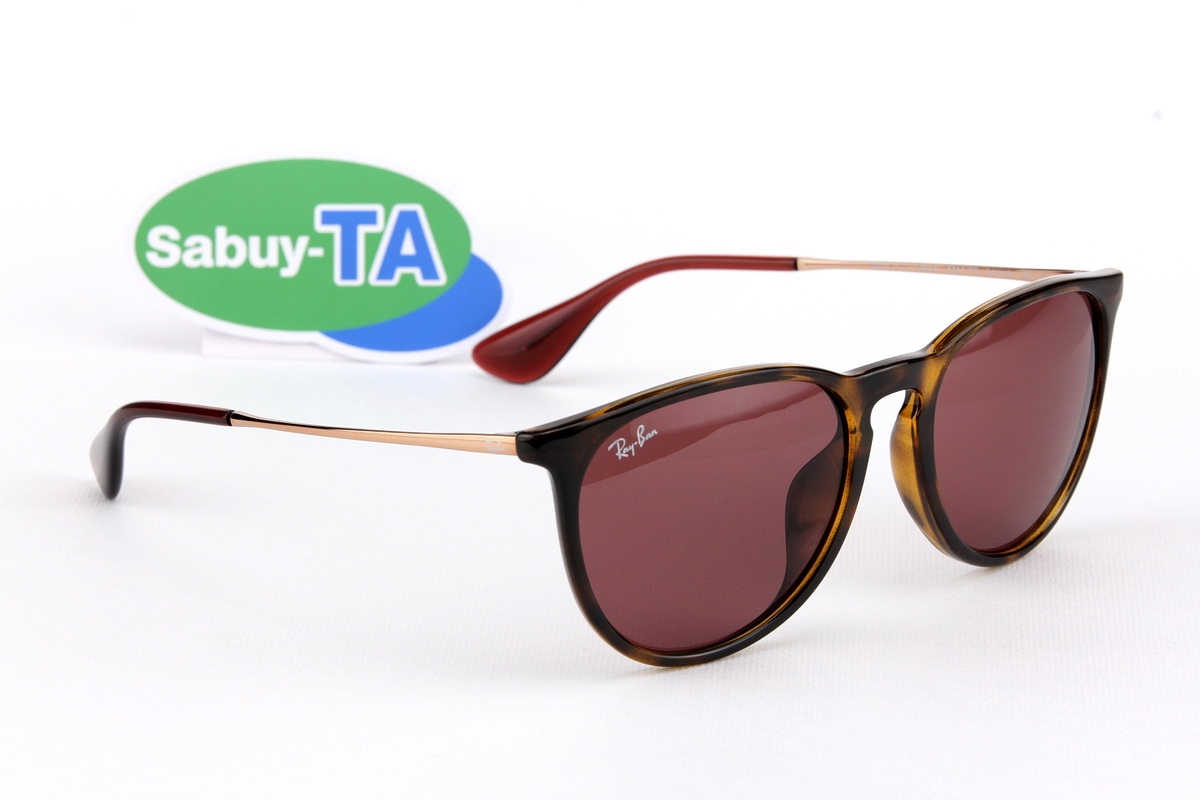 RayBan Erika RB4171F 6391/75