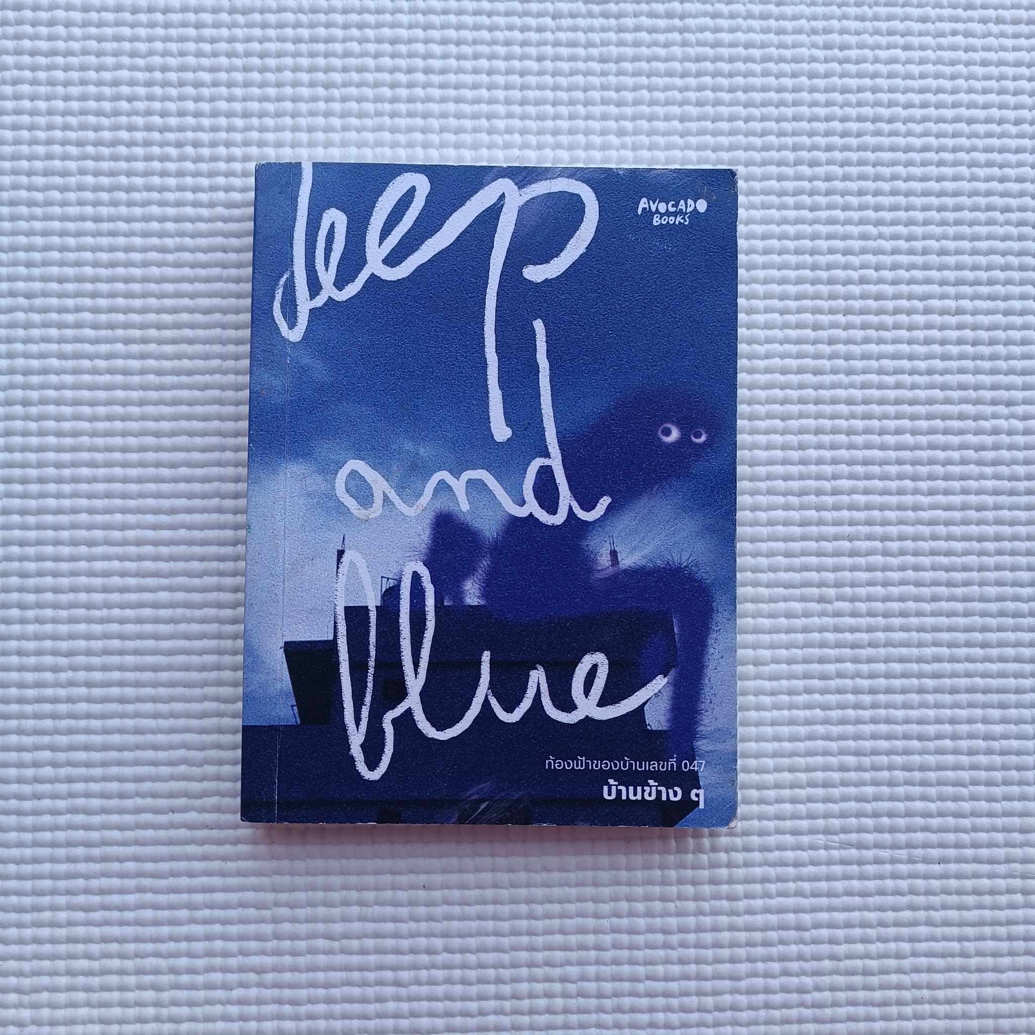 Deep and Blue ท้องฟ้าของบ้านเลขที่ 047 : บ้านข้าง ๆ
