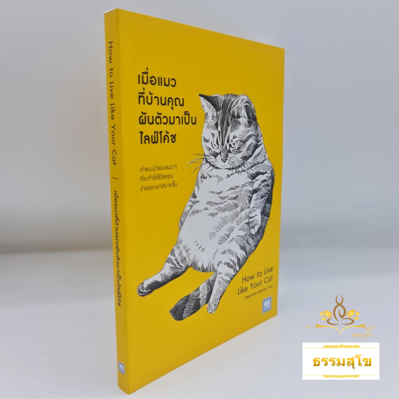 เมื่อแมวที่บ้านคุณผันตัวเองมาเป็นไลฟ์โค้ช