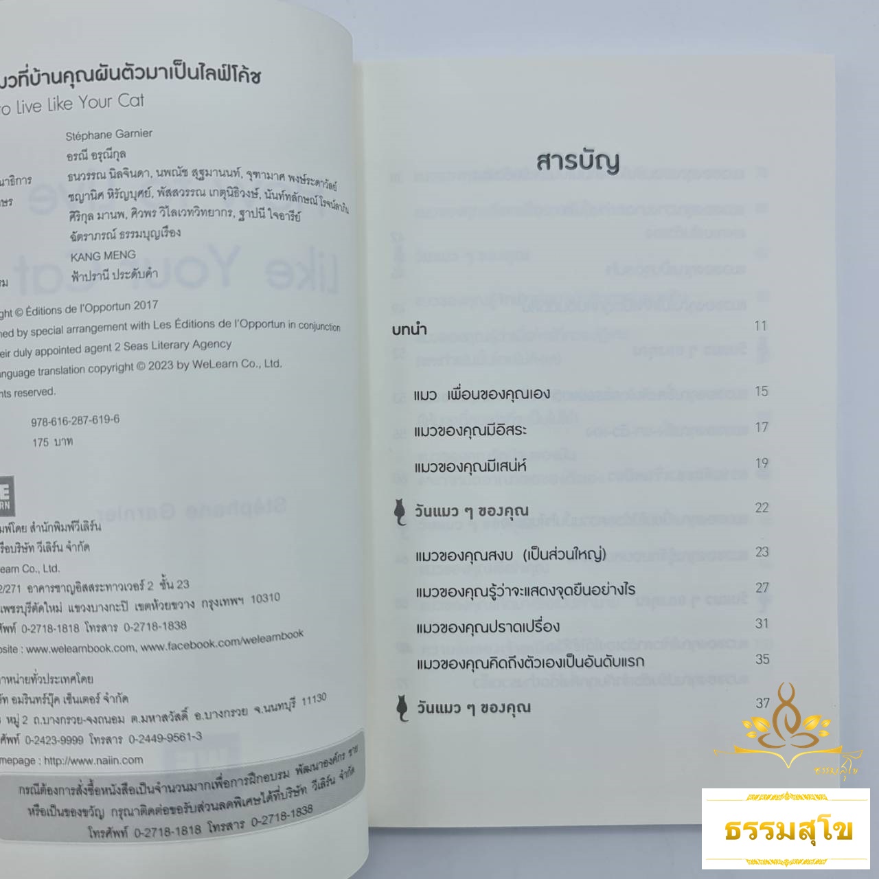 เมื่อแมวที่บ้านคุณผันตัวเองมาเป็นไลฟ์โค้ช