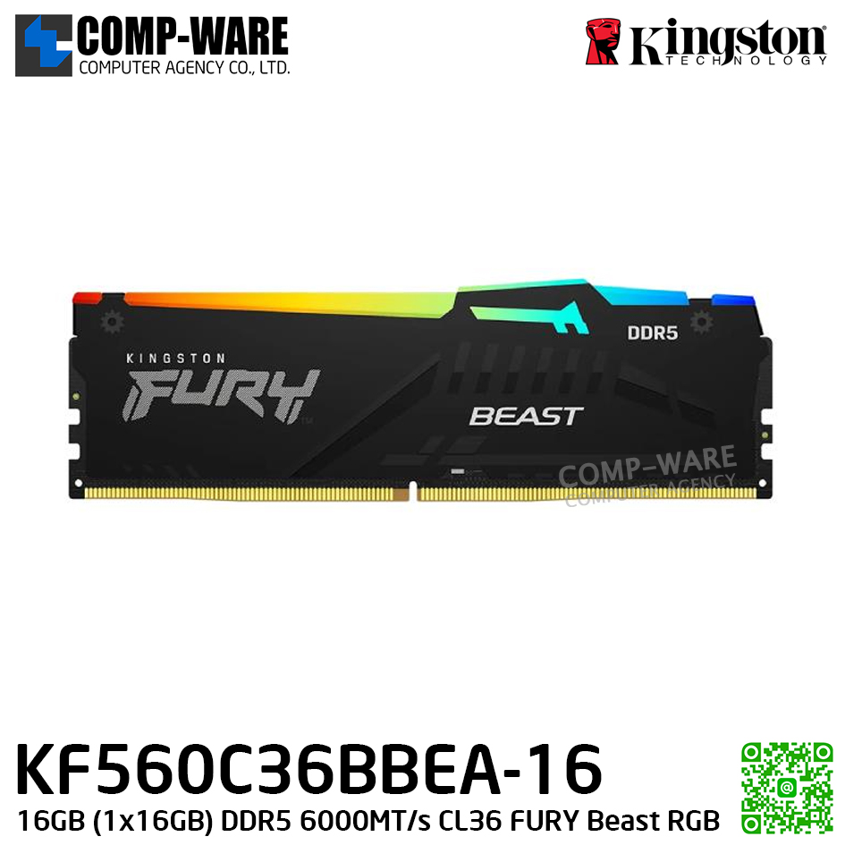 Kingston KF560C36BBEA-16 16GB (1x16GB) DDR5 6000MT/s CL36 FURY Beast RGB - Lifetime Warranty - Memory Module - RAM
