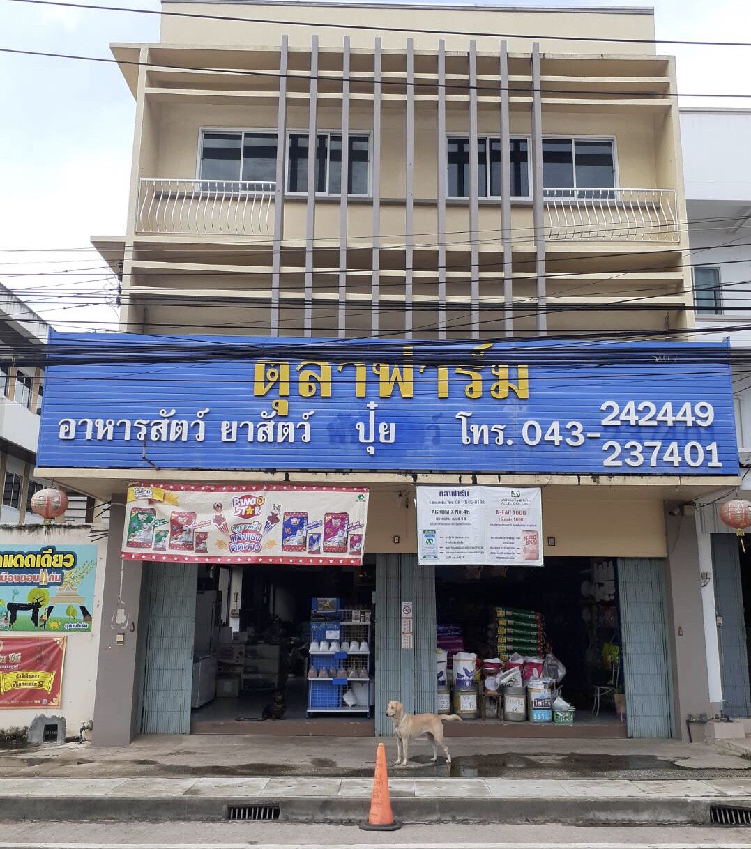 ยาสัตว์ทั่วไปที่นิยมใช้ อาหารสัตว์ ปุ๋ยไส้เดือน