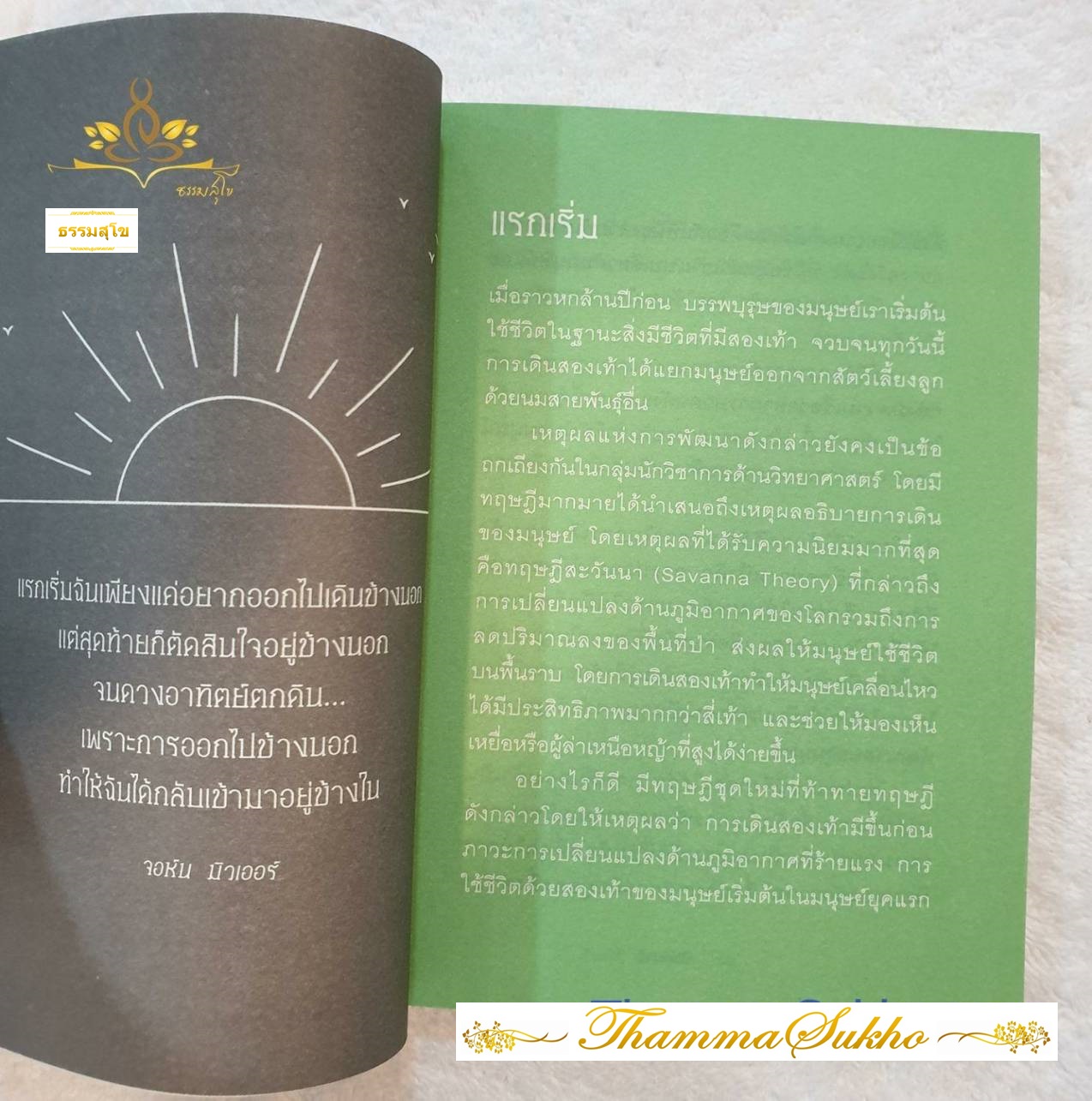 เดินสมาธิ (ผู้เขียน : ชอลโต แรดฟอร์ด , ผู้แปล : ญาณพล มุสิเกตุ)