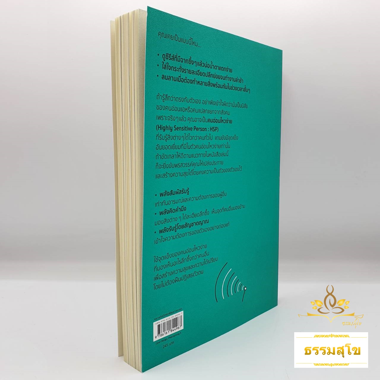 เป็นคนอ่อนไหวให้มีความสุข : รู้จักกับอาการอ่อนไหวง่าย พร้อมเทคนิคการสร้างความสัมพันธ์และการทำงานที่นำไปใช้ได้จริง